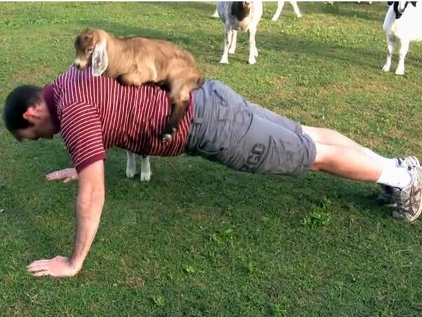Мъжете, които тренират с кози