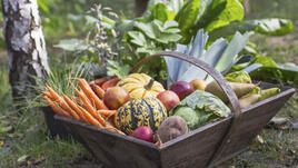 7 здравословни зимни зеленчука