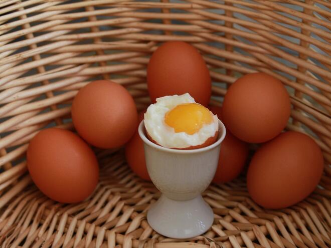 1 яйце седмично и 300 гр. месо, или нови препоръки как да се храним според германски експерти