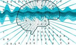 Мозъчни вълни за начинаещи: Невротрансмитерите!