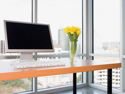 Свежи цветя стимулират работата в офиса