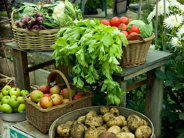 Био- или конвенционални плодове и зеленчуци?