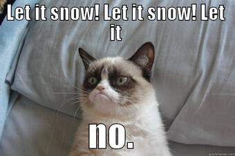 За всички, които вчера не са успели да се зарадват на кученцето с афинитет към снега :D