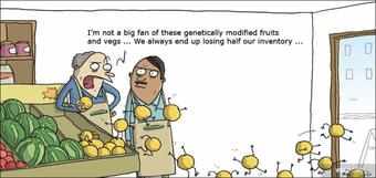 Горе-долу по този начин противниците на ГМО си представят и/или се опитват да представят пред...