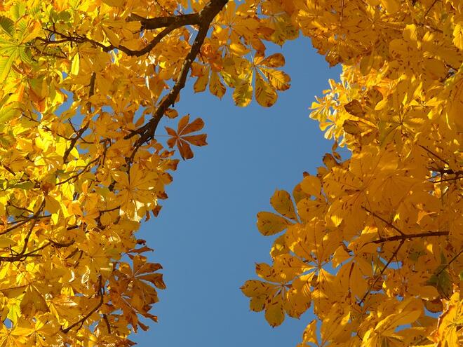Очаква ли ни златна есен през октомври?