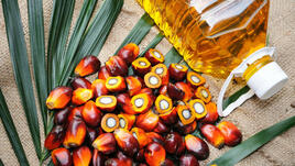 Палмовото масло прави рака по-агресивен
