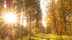 Как есенното равноденствие ще се отрази на всяка зодия