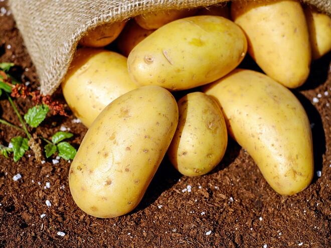 Картофите може да са отровни, ето кога