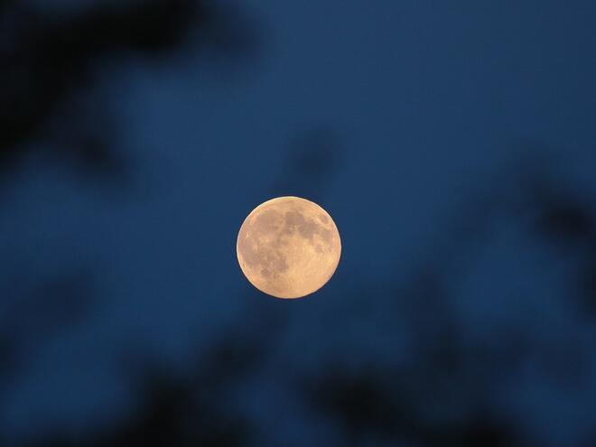 Вълча луна на 25 януари: Ето кои зодии ще засегнe най-силно
