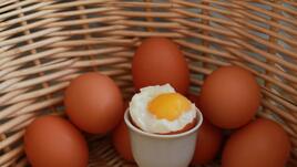 1 яйце седмично и 300 гр. месо, или нови препоръки как да се храним според германски експерти