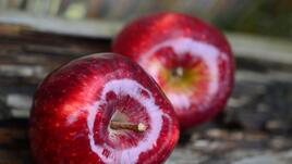 Какво означават стикерите върху ябълките
 Какво означават стикерите върху ябълките