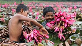 Простият живот прави хората по-щастливи
