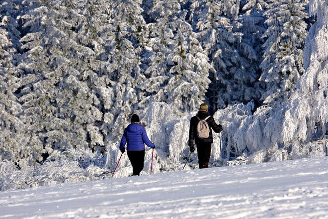 Как да останем във форма и здрави през студените месеци