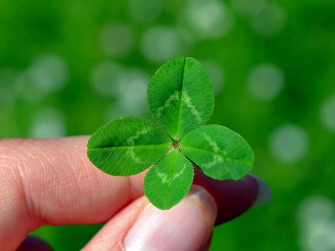 Ето кои зодии са големите късметлии през март
