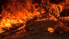 За какво може да използва дървесната пепел?