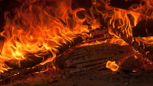 За какво може да използва дървесната пепел?