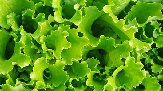 Пролетните салати: Идеалното почистване