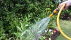 Кога и как да поливаме зеленчуковата градина в летните жеги
