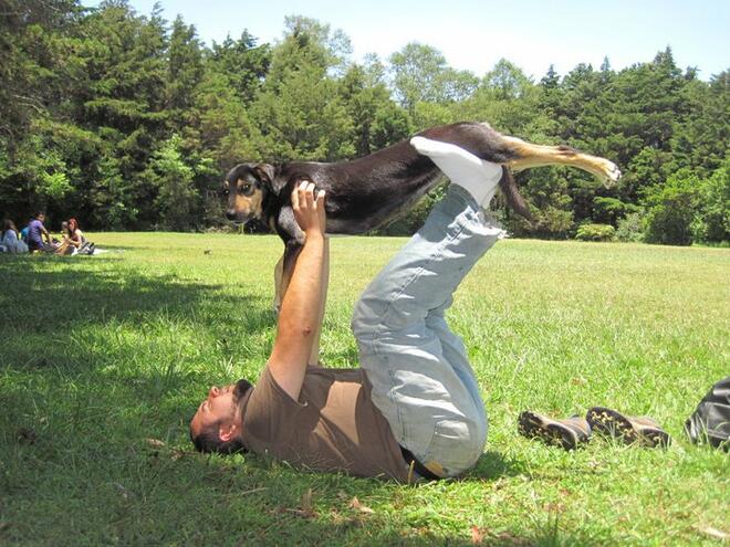 Дога: йога+куче 