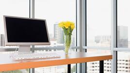 Свежи цветя стимулират работата в офиса