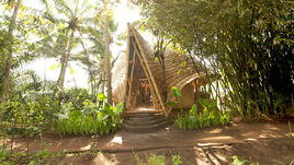 Къщи от бамбук 