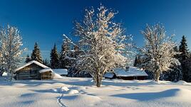 6 причини да обичаме зимата