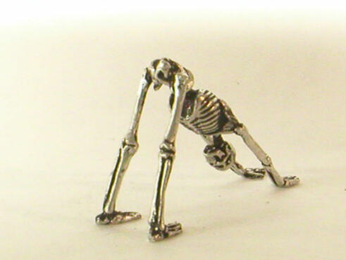 И скелетите правят йога  