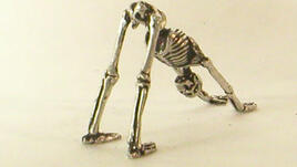 И скелетите правят йога  