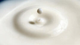 Кулинарен трик: прясното мляко във фризера 