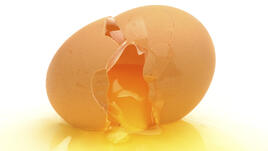 Никога не изхвърляй яйце!