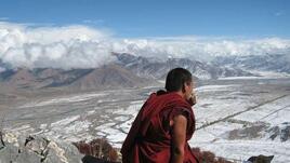 Тибетската диета за пречистване на кръвта