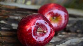 Ето какво се случва с тялото ни, ако похапваме ябълки всеки ден
