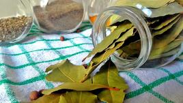 Ритуал с дафинов лист привлича пари и късмет в дома ви