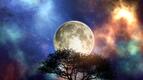 Бяла Луна до 14 юни 2025 г.: Спасява ни от Черната и носи дарове